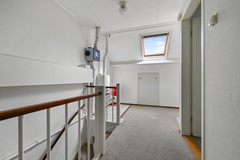 Tormentil 5 Castricum De Groot 40.JPG